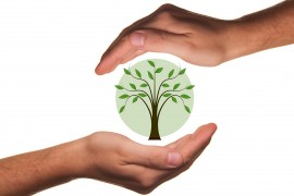 Zapraszamy do udziału w projekcie edukacyjnym „Chroniąc rośliny - chronisz życie”