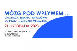 Sprawozdanie z konferencji "MÓZG POD WPŁYWEM... diagnoza, terapia, wskazówki do pracy z dziećmi i młodzieżą"