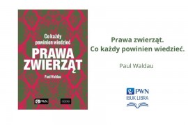 Książka miesiąca - luty